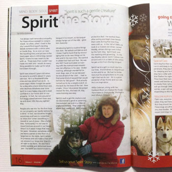 Pet Magazine:Full design & production: Page.